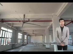 5.0M 16FT grandes ventiladores para a circulação de ar ideal em espaços escolares e ginásios