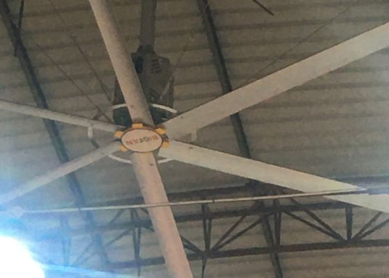 Bom preço. 7.3m Ventilador de teto industrial gigante para campo de basquete interior on-line