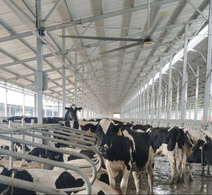 Bom preço. Fã de teto de poupança de energia gigante de múltiplos propósitos dos fãs de teto 380V 220V 1.5KW on-line