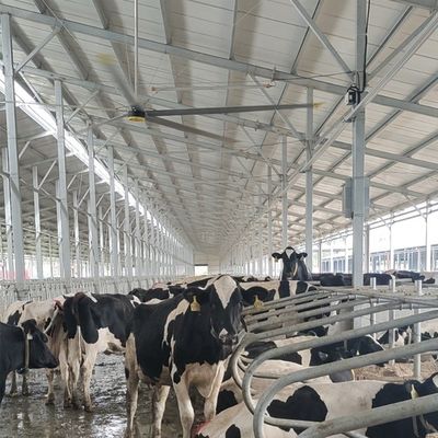 Bom preço. 6.1m 20FT ventilador de teto industrial com 6pcs alumínio lâmina de liga de magnésio e durável on-line